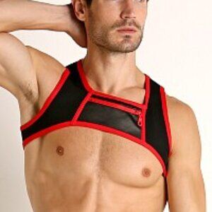CBS167 Cellblock3 Moto X Harness Red